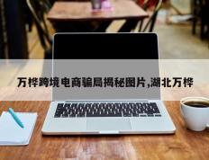 万桦跨境电商骗局揭秘图片,湖北万桦
