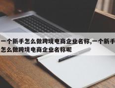 一个新手怎么做跨境电商企业名称,一个新手怎么做跨境电商企业名称呢