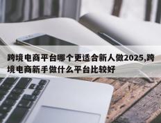 跨境电商平台哪个更适合新人做2025,跨境电商新手做什么平台比较好