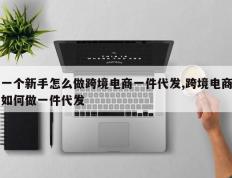 一个新手怎么做跨境电商一件代发,跨境电商如何做一件代发