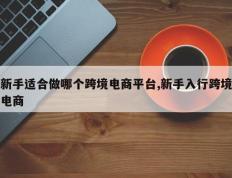 新手适合做哪个跨境电商平台,新手入行跨境电商