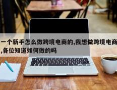 一个新手怎么做跨境电商的,我想做跨境电商,各位知道如何做的吗