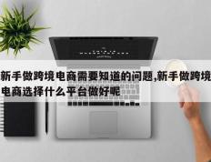 新手做跨境电商需要知道的问题,新手做跨境电商选择什么平台做好呢