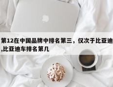 第12在中国品牌中排名第三，仅次于比亚迪,比亚迪车排名第几