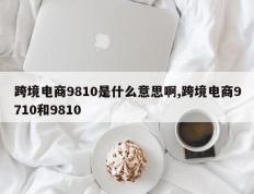 跨境电商9810是什么意思啊,跨境电商9710和9810