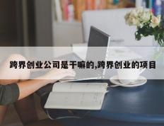 跨界创业公司是干嘛的,跨界创业的项目