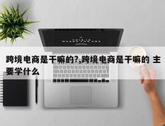 跨境电商是干嘛的?,跨境电商是干嘛的 主要学什么