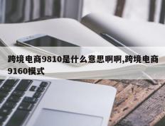 跨境电商9810是什么意思啊啊,跨境电商9160模式