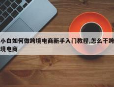 小白如何做跨境电商新手入门教程,怎么干跨境电商