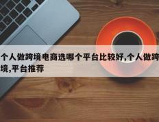 个人做跨境电商选哪个平台比较好,个人做跨境,平台推荐