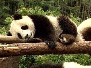 如何利用 Playwright 对已打开的浏览器进行爬虫