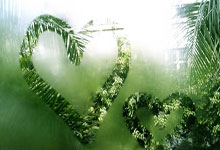 要怎么上外网，怎么上外网看视频