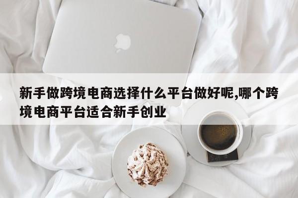 新手做跨境电商选择什么平台做好呢,哪个跨境电商平台适合新手创业