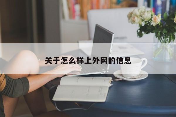 关于怎么样上外网的信息