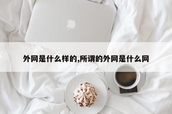 外网是什么样的,所谓的外网是什么网