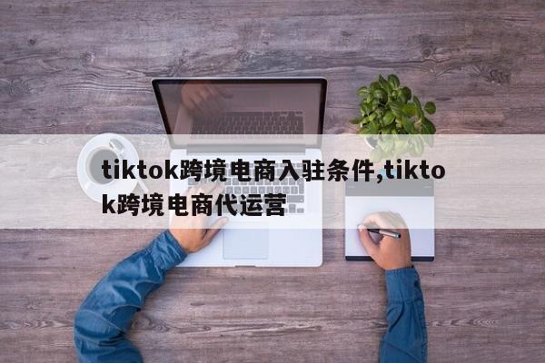 tiktok跨境电商入驻条件,tiktok跨境电商代运营