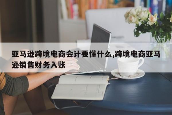 亚马逊跨境电商会计要懂什么,跨境电商亚马逊销售财务入账