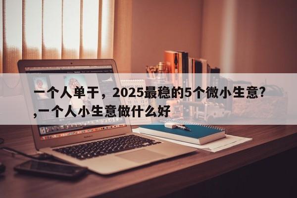 一个人单干，2025最稳的5个微小生意?,一个人小生意做什么好