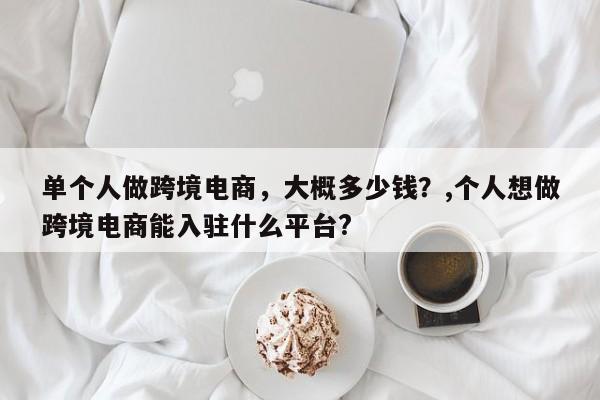 单个人做跨境电商，大概多少钱？,个人想做跨境电商能入驻什么平台?
