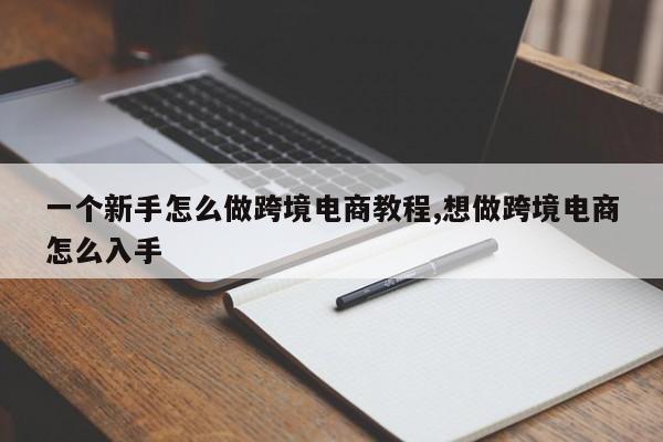 一个新手怎么做跨境电商教程,想做跨境电商怎么入手