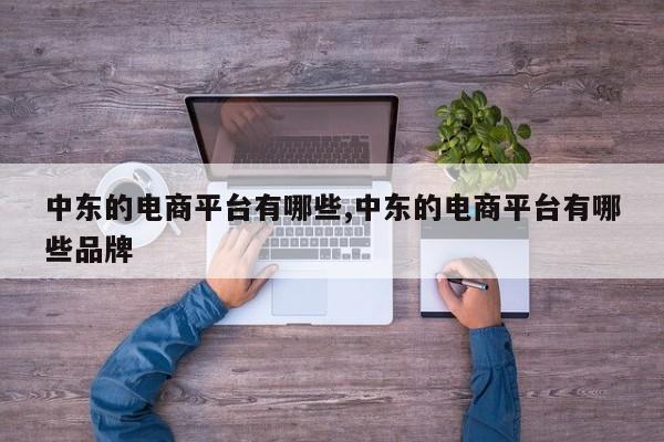 中东的电商平台有哪些,中东的电商平台有哪些品牌