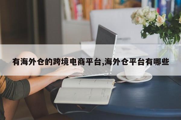 有海外仓的跨境电商平台,海外仓平台有哪些