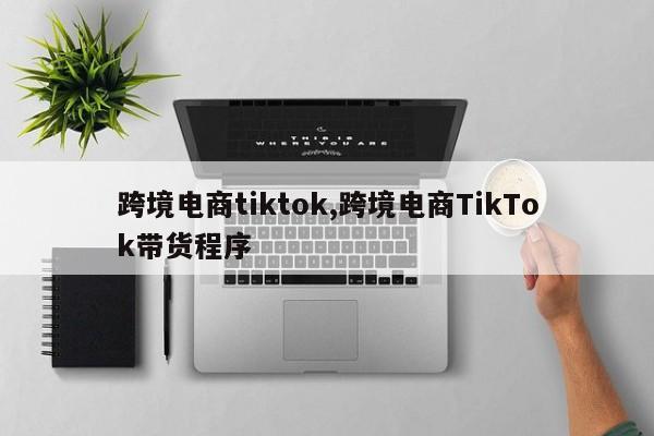 跨境电商tiktok,跨境电商TikTok带货程序