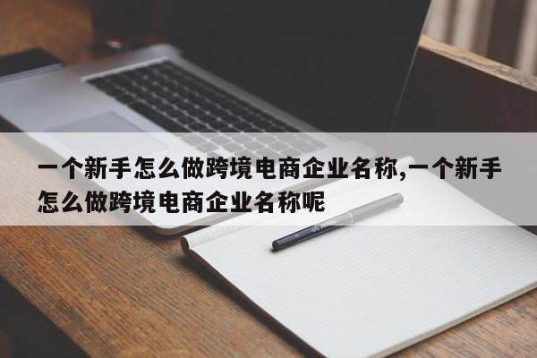 一个新手怎么做跨境电商企业名称,一个新手怎么做跨境电商企业名称呢