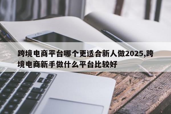 跨境电商平台哪个更适合新人做2025,跨境电商新手做什么平台比较好
