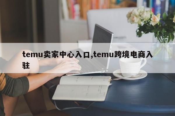 temu卖家中心入口,temu跨境电商入驻