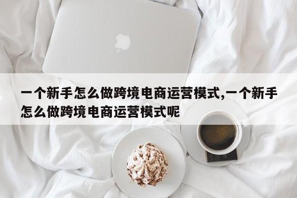 一个新手怎么做跨境电商运营模式,一个新手怎么做跨境电商运营模式呢