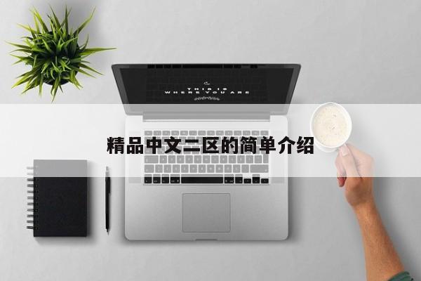 精品中文二区的简单介绍