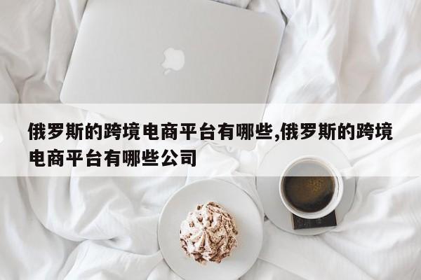 俄罗斯的跨境电商平台有哪些,俄罗斯的跨境电商平台有哪些公司