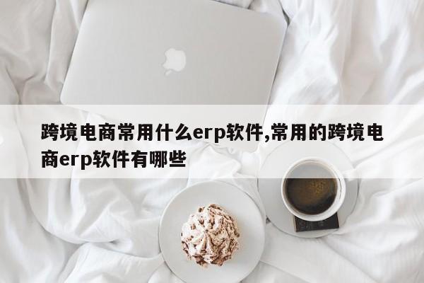 跨境电商常用什么erp软件,常用的跨境电商erp软件有哪些
