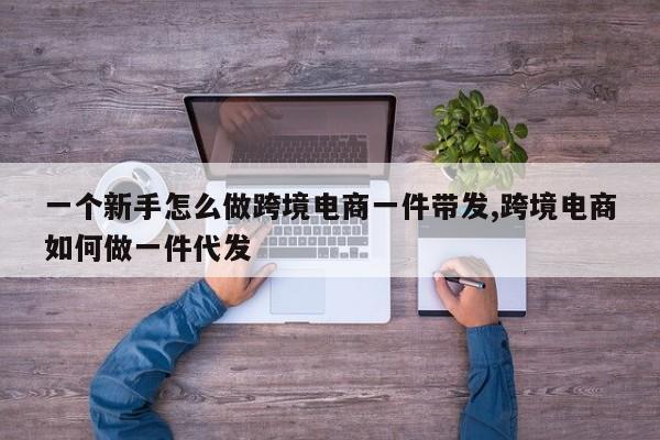一个新手怎么做跨境电商一件带发,跨境电商如何做一件代发