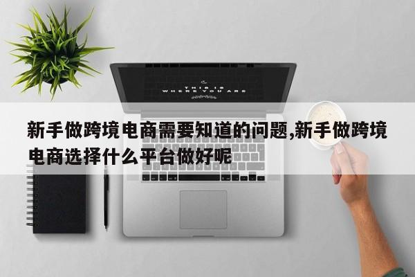 新手做跨境电商需要知道的问题,新手做跨境电商选择什么平台做好呢