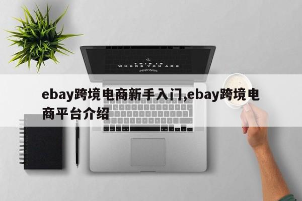 ebay跨境电商新手入门,ebay跨境电商平台介绍