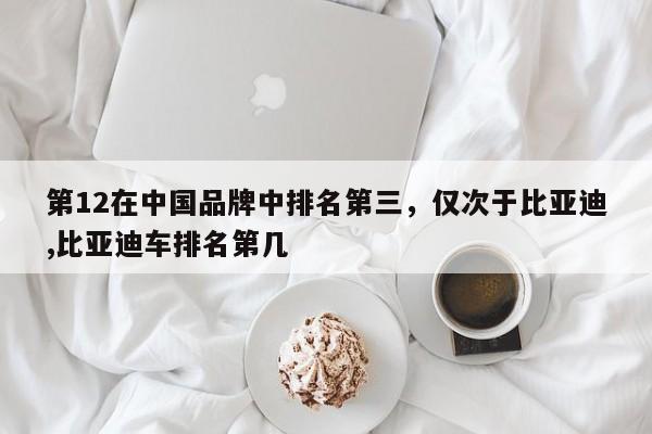 第12在中国品牌中排名第三，仅次于比亚迪,比亚迪车排名第几