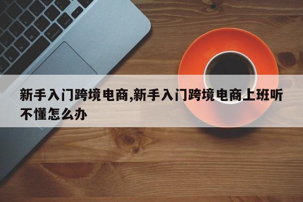 新手入门跨境电商,新手入门跨境电商上班听不懂怎么办